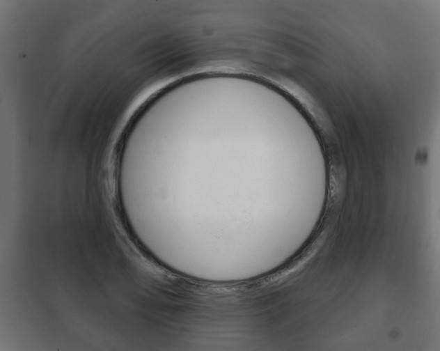 X0000102461078200808080939