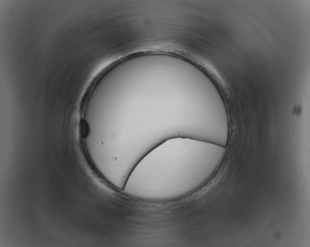 X0000102461079200808080939