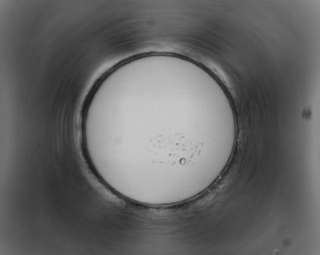 X0000102461080200808080939