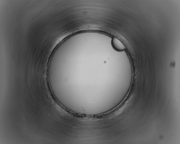 X0000102461081200808080939