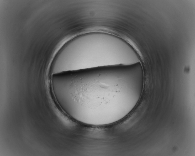 X0000102461082200808080939