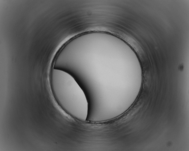 X0000102461084200808080939