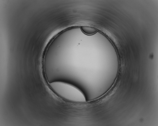 X0000102461085200808080939