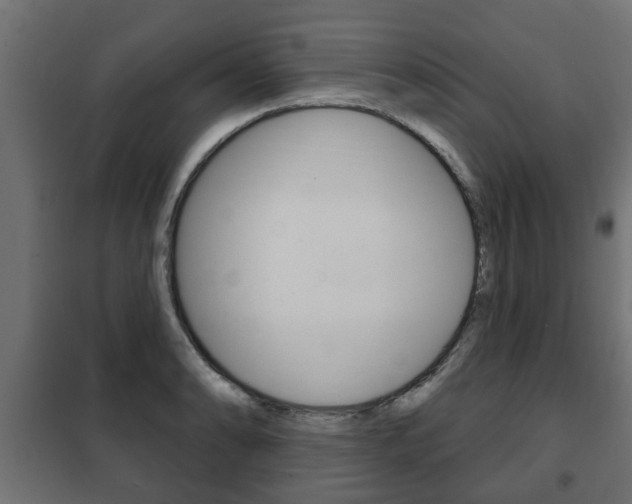 X0000102461086200808080939