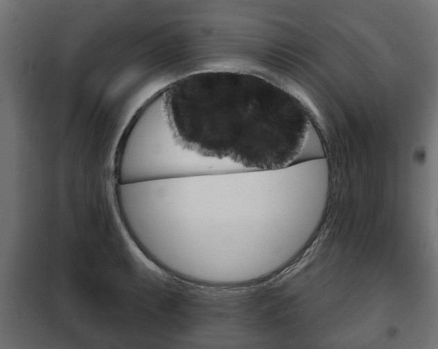 X0000102461087200808080939