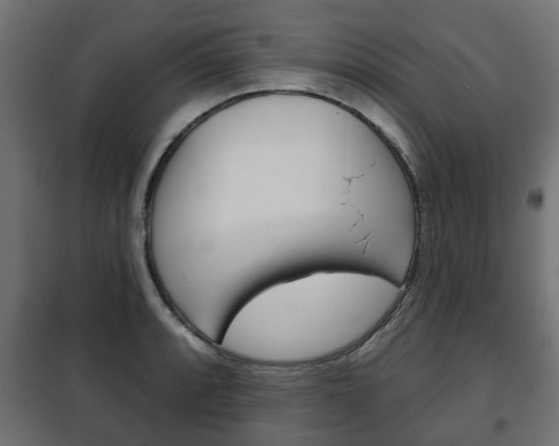 X0000102461088200808080939