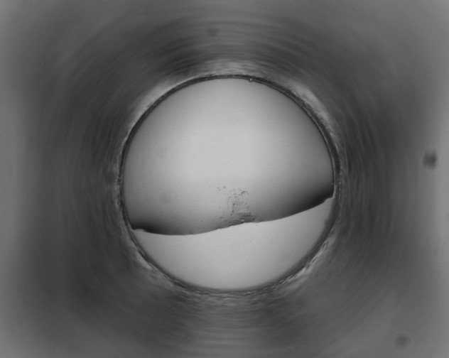 X0000102461089200808080939