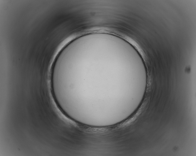 X0000102461090200808080939