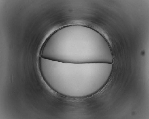 X0000102461091200808080939