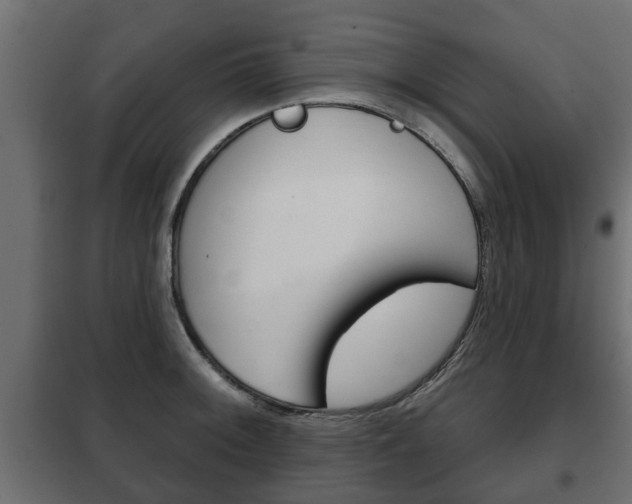 X0000102461092200808080939