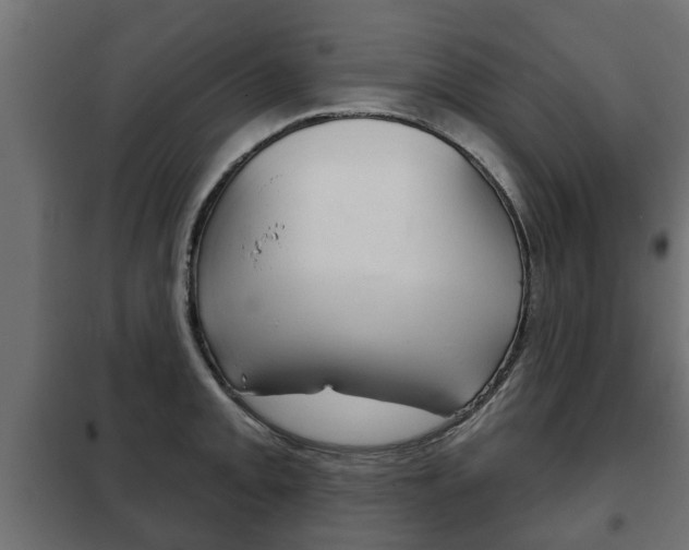X0000102461093200808080938