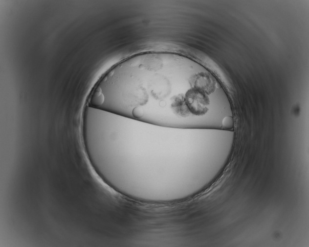 X0000102461095200808080938