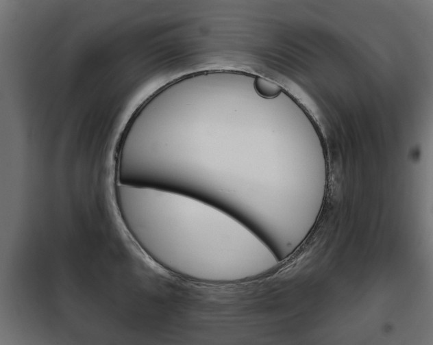 X0000102461096200808080938