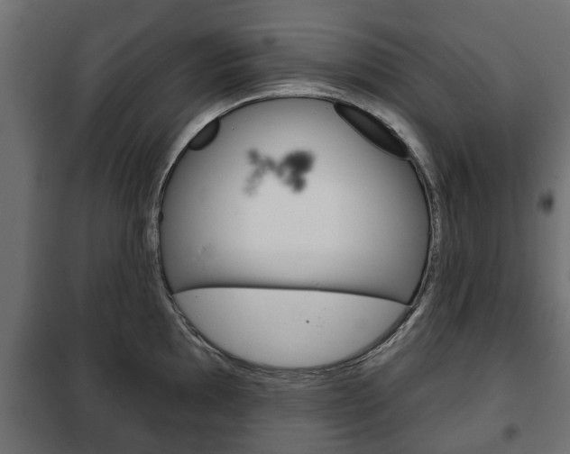 X0000102461097200808080938