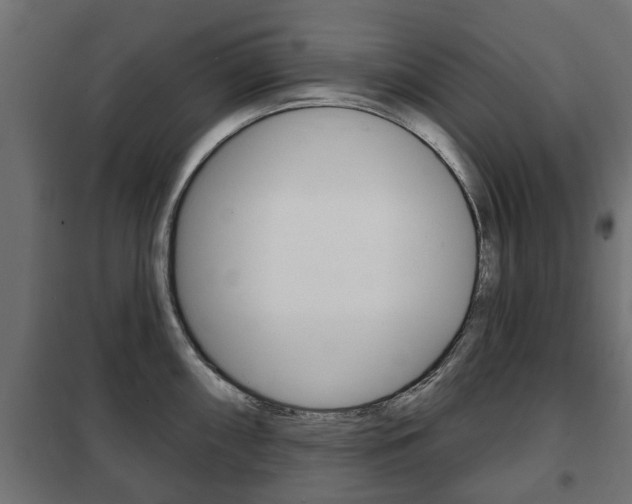 X0000102461098200808080938