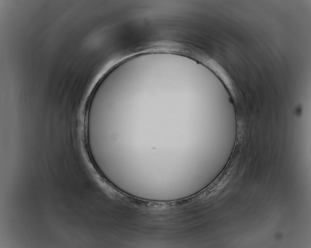 X0000102461099200808080938