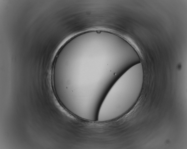 X0000102461100200808080938