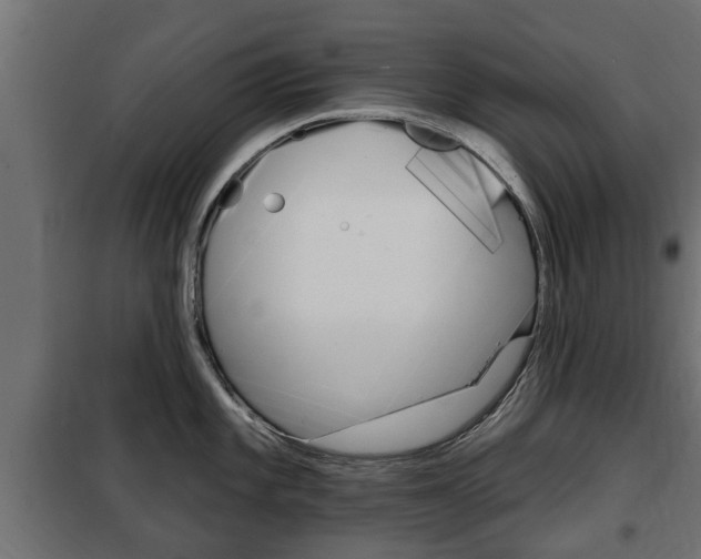 X0000102461101200808080938