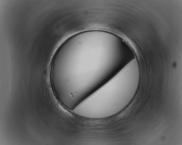 X0000102461102200808080938