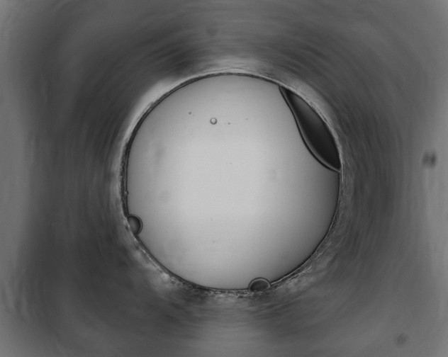 X0000102461104200808080938