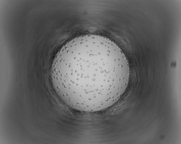 X0000102461105200808080938