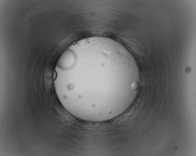X0000102461106200808080938