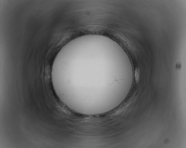 X0000102461107200808080938