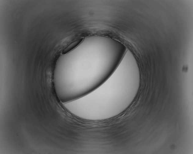 X0000102461108200808080938