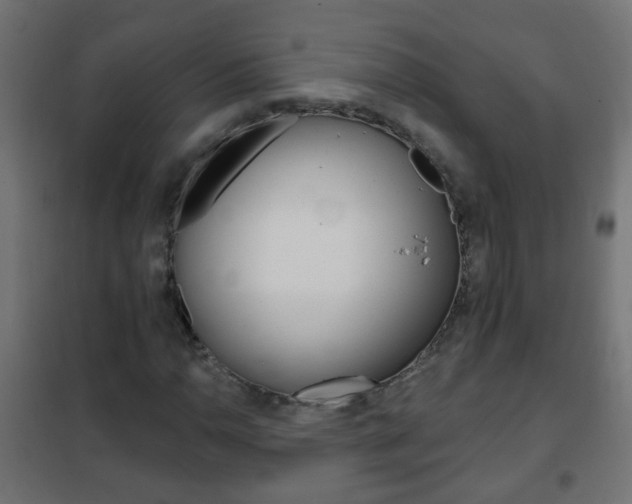X0000102461110200808080938