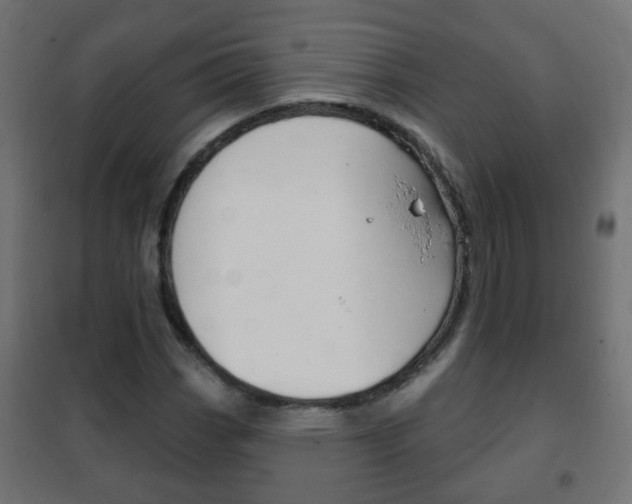 X0000102461113200808080938