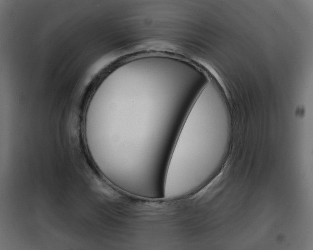 X0000102461115200808080938