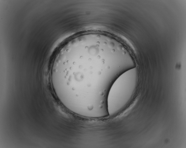 X0000102461117200808080938