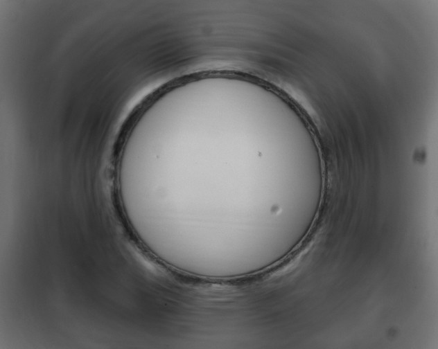 X0000102461119200808080938