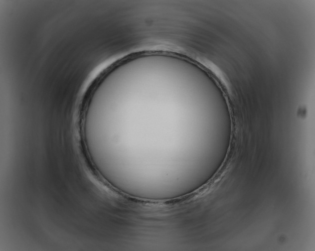 X0000102461120200808080938