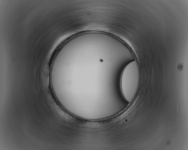 X0000102461123200808080938