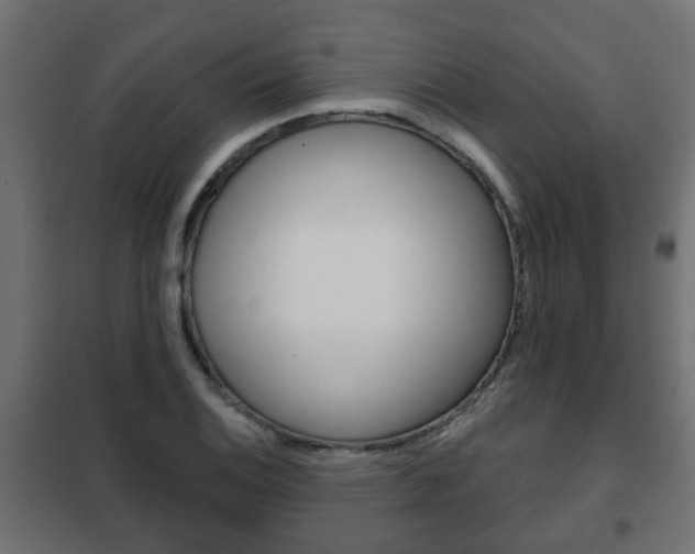 X0000102461124200808080938