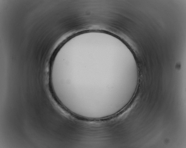 X0000102461126200808080938