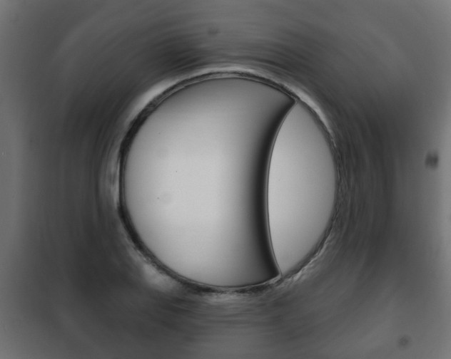 X0000102461127200808080938