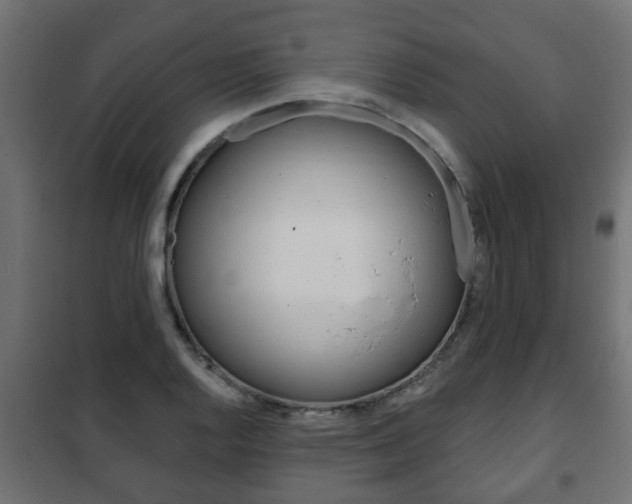 X0000102461128200808080938