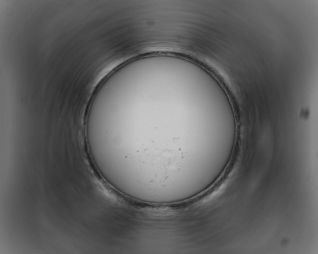 X0000102461129200808080938