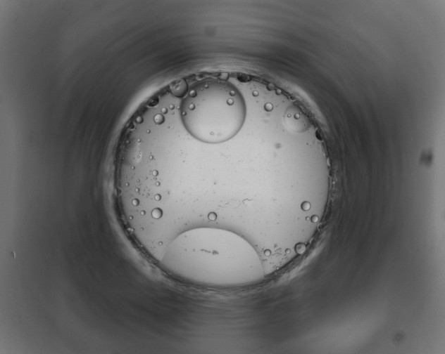 X0000102461130200808080938