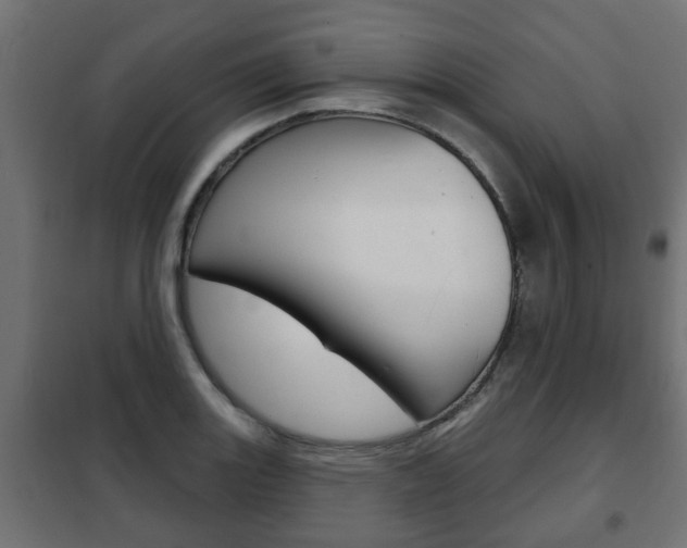 X0000102461131200808080938
