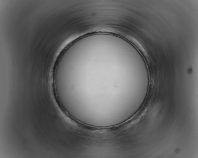 X0000102461133200808080938