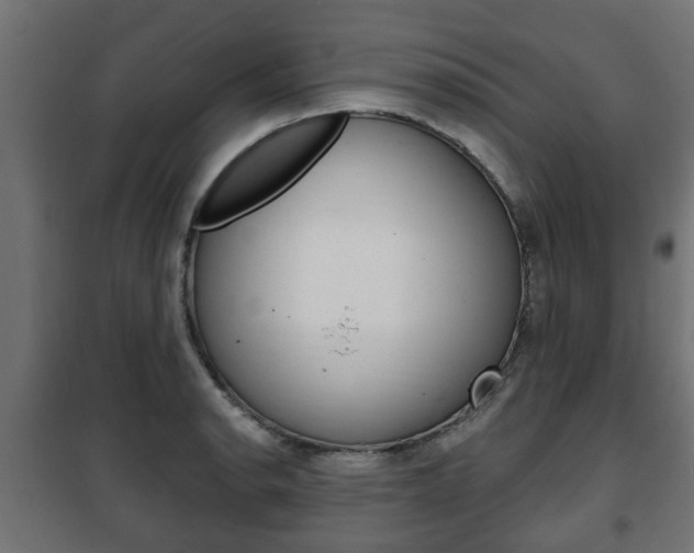 X0000102461134200808080938