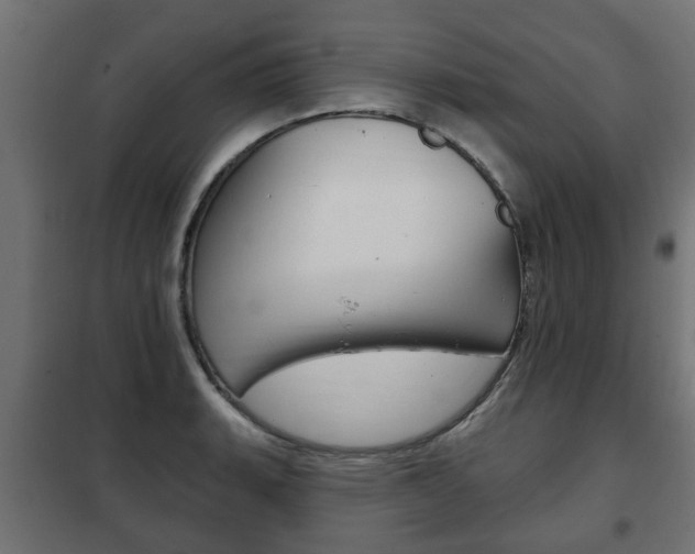 X0000102461135200808080938