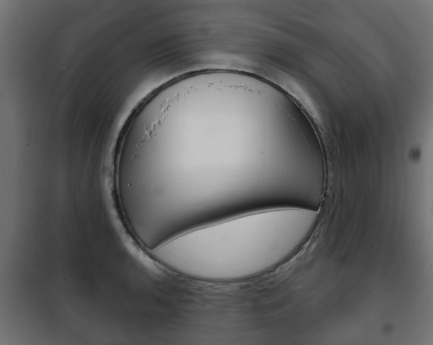 X0000102461136200808080938