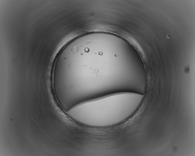 X0000102461138200808080938