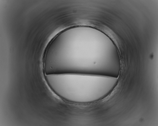 X0000102461141200808080938