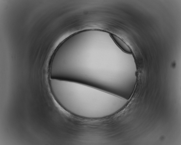 X0000102461143200808080938
