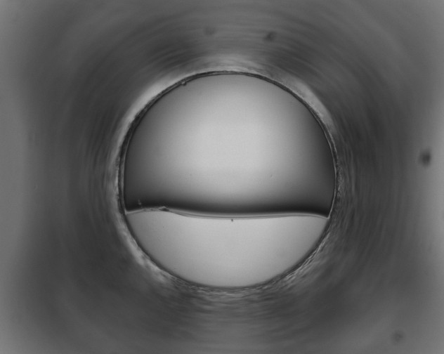 X0000102461144200808080938